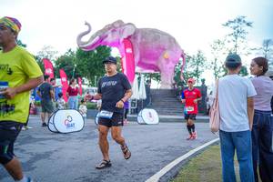 BIB: 
                            <button type="button" onclick="openModal(26551673)" class="btn btn-primary btn-sm float-right btn-popup" data-toggle="modal" data-target=".modal-high-quality">
                        <i class="fas fa-shopping-cart"></i> Add to Cart
                    </button>
                                            <button type="button" onclick="isThisMe(26551673, true)" class="btn btn-success btn-sm float-right btn-popup btn-isme hidden" data-toggle="tooltip" data-placement="bottom" title="นี่คือรูปของคุณใช่ไหม คลิกที่นี่เพื่อเอาเข้าอัลบั้ม">
                        <i class="fas fa-plus"></i> Add to album
                    </button>
                    <button type="button" onclick="isThisMe(26551673, false)" class="btn btn-warning btn-sm float-right btn-popup btn-isnotme hidden">
                        <i class="fas fa-ban"></i> Remove from album
                    </button>